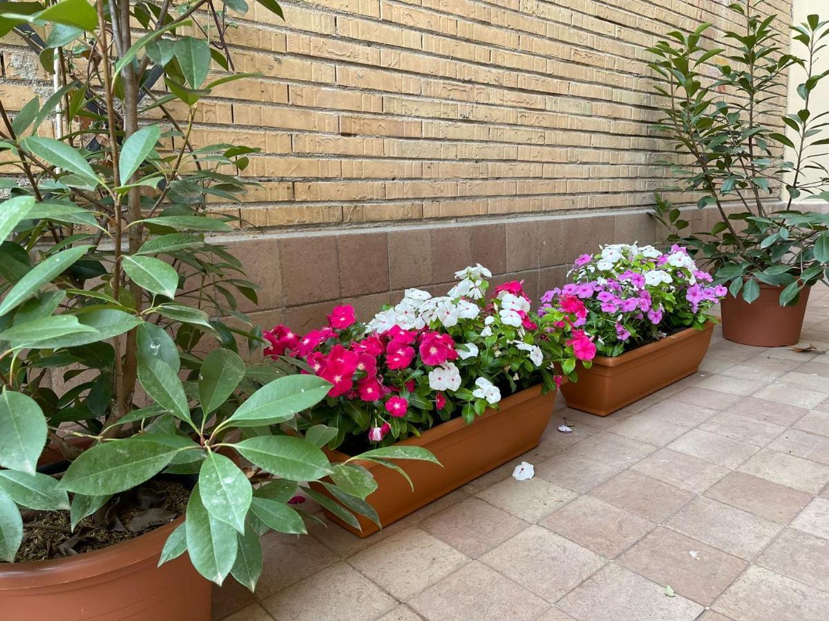 Flowers In Roma Ngoại thất bức ảnh